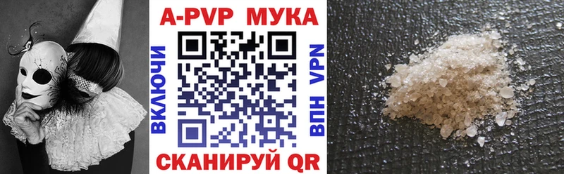 Купить Кизляр APVP СК