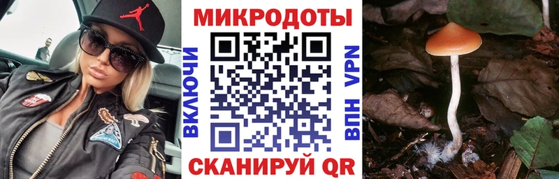 Псилоцибиновые грибы мицелий  Купить закладки  Кизляр 